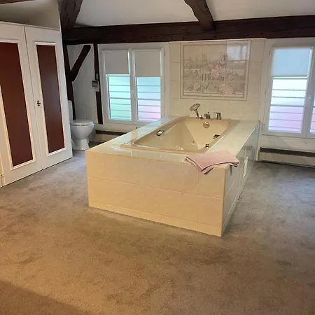 Les Grandes Bruyeres Vakantiehuis Lesperon (Landes)