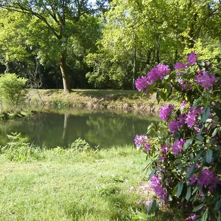 Vakantiehuis Les Grandes Bruyeres Lesperon (Landes)